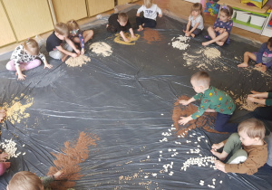 grupa dzieci bawiąca się różnej wielkości ziarnami