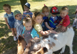 dzieci podczas karmienia zwierząt w mini zoo