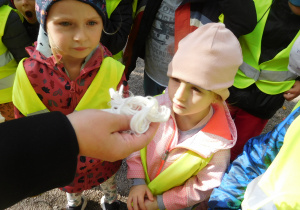 grupa dzieci dotykająca kawałka prawdziwej bawełny