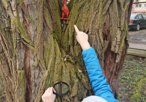 Dziecko wskazuje na figurkę dinozaura na drzewie