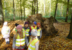 dzieci podczas wycieczki do lasu