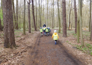 grupa dzieci w lesie
