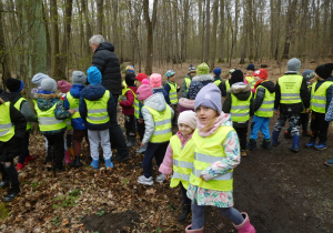 grupa dzieci w lesie