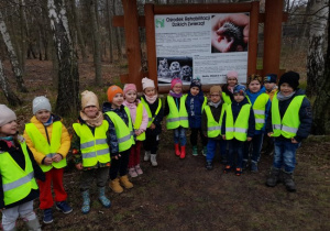 grupa dzieci w odblaskowych kamizelkach w lesie