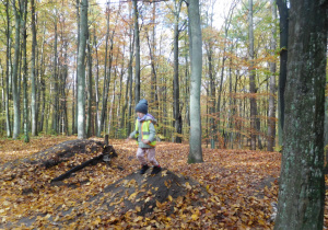 dzieci w kamizelkach odblaskowych podczas spaceru w lesie